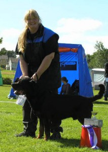 Rottweiler INT NUCH DKUCH AD KORAD Bittebit´s Knerten-Bjarne Ägare Anne-Marit och Geir Traaholt, Norge