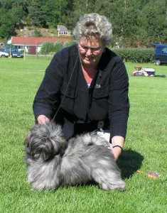 Lhasa Apso Xsandra Roses are Red Ägare Anette Jörgensen, Lilla Edet