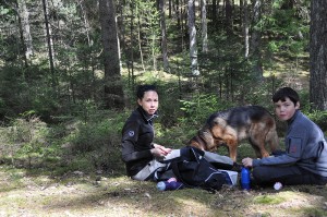 Ungdomar spår