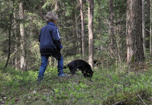 Ungdomar spår