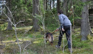 Ungdomar spår