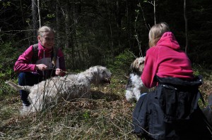 Ungdomar spår