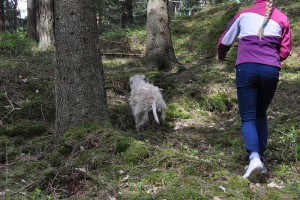 Ungdomar spår