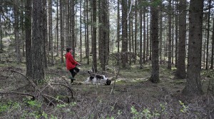 Ungdomar spår