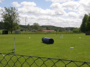 Avslutningen ungdomar 2015