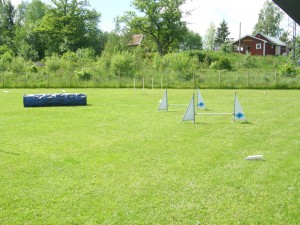 Avslutningen ungdomar 2015