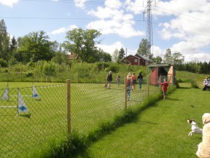 Avslutningen ungdomar 2015