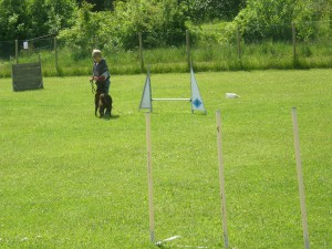 Avslutningen ungdomar 2015