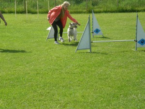 Avslutningen ungdomar 2015