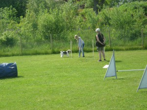 Avslutningen ungdomar 2015