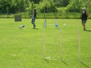 Avslutningen ungdomar 2015