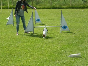 Avslutningen ungdomar 2015