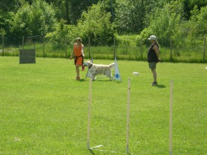 Avslutningen ungdomar 2015