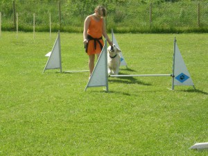 Avslutningen ungdomar 2015