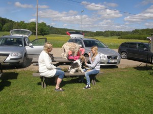 Avslutningen ungdomar 2015