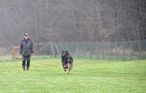 appell201628 kopiera