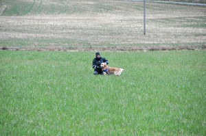 appell201632 kopiera