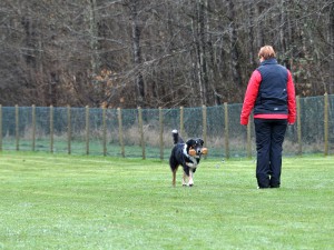 appell20164 kopiera