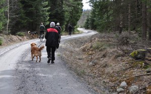 Promenad