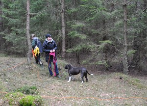 Nöjda