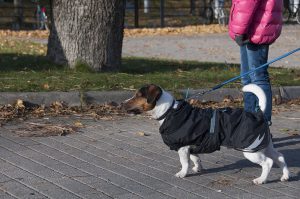 promenad11-kopiera