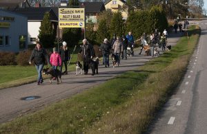promenad6-kopiera