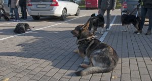 promenad8-kopiera