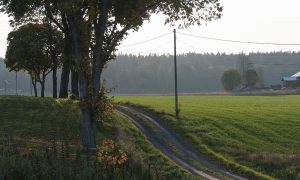 appell1 kopiera