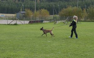 appell18 kopiera