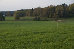 appell2 kopiera