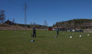 rally21 kopiera