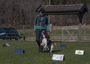 rally33 kopiera
