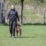 wiback28 kopiera