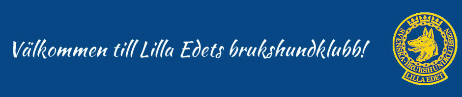 lebhk4 logga
